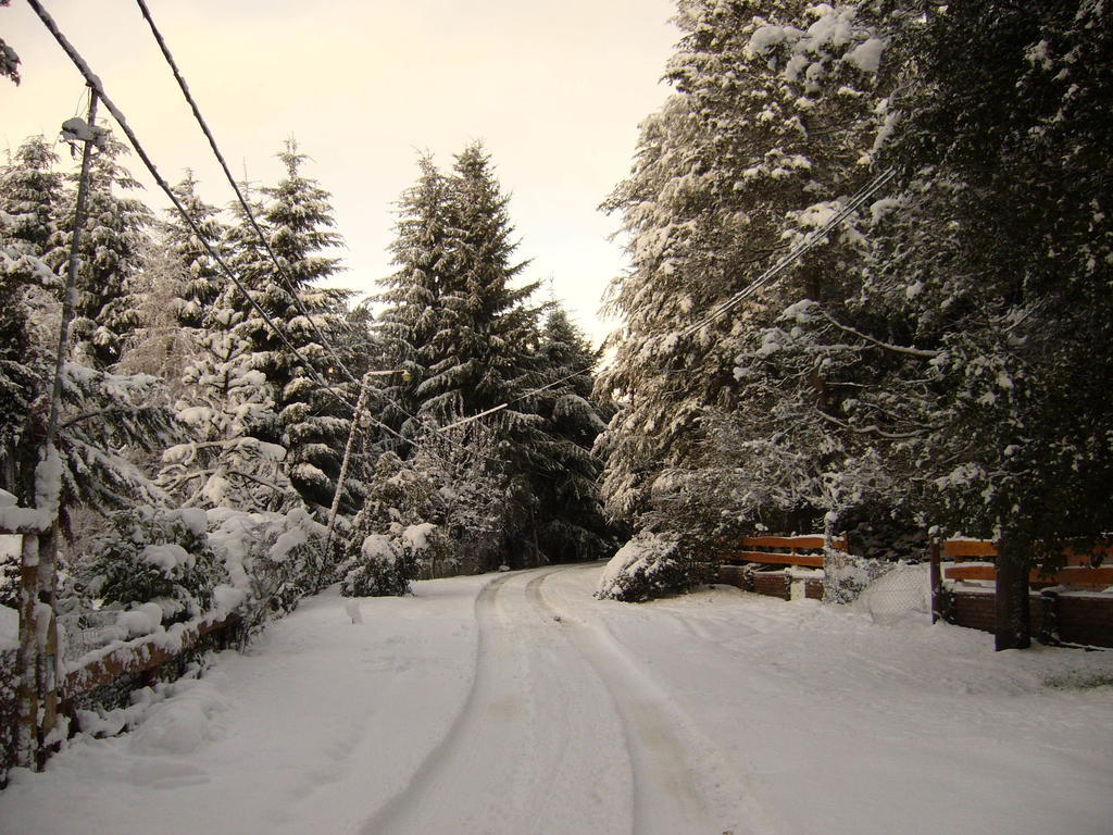 Detras Del Cipres Lodge