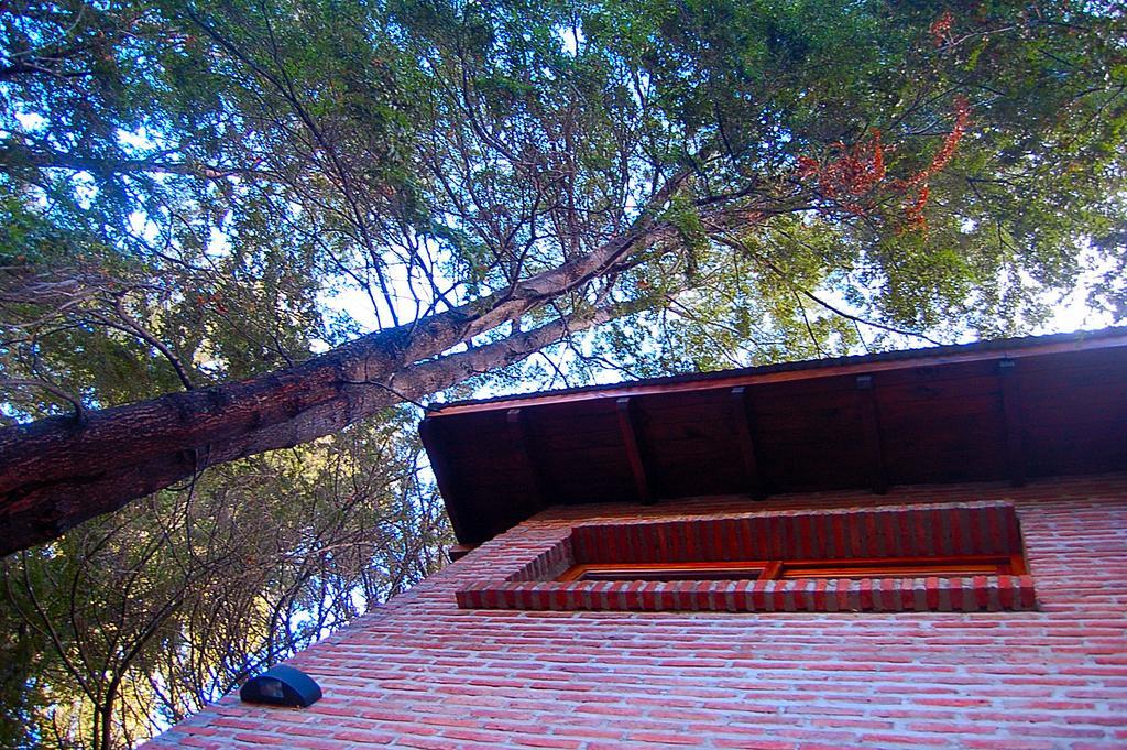 Lodge Detras Del Cipres *