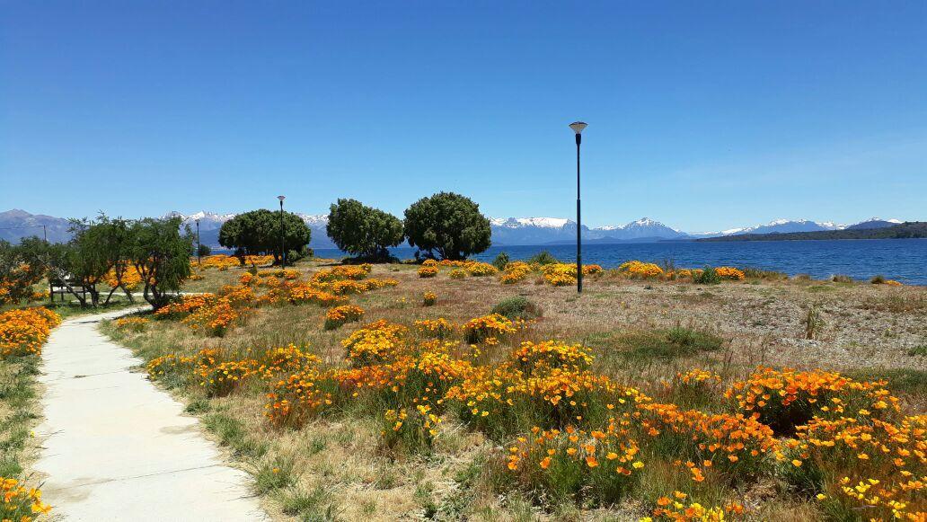 Detras Del Cipres San Carlos de Bariloche